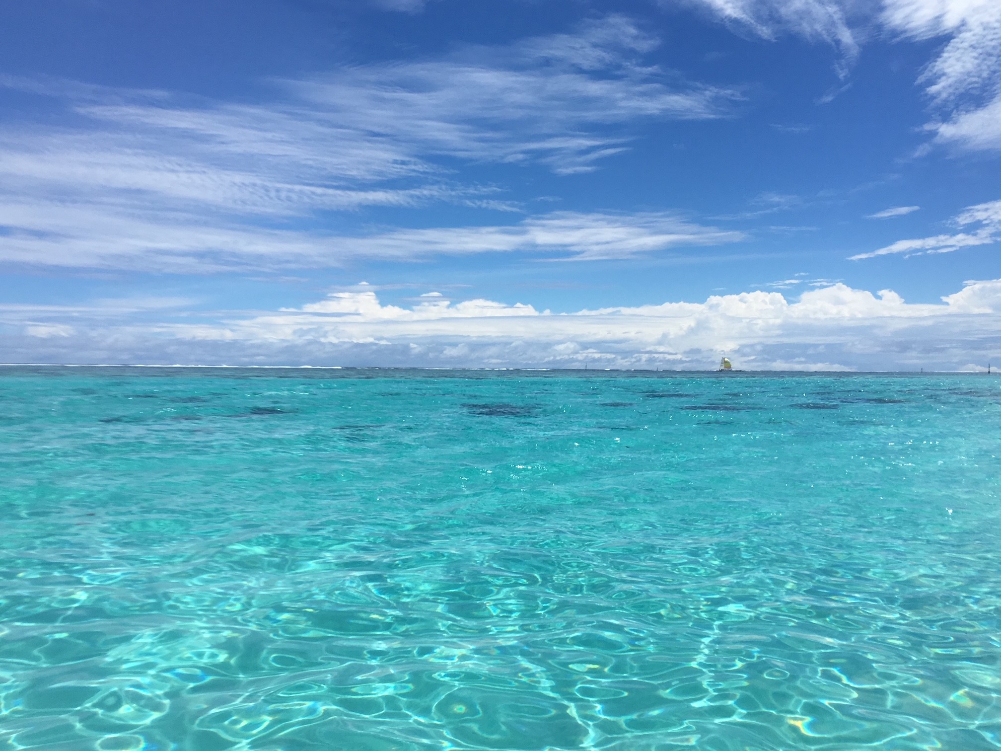 プロフィール背景画像